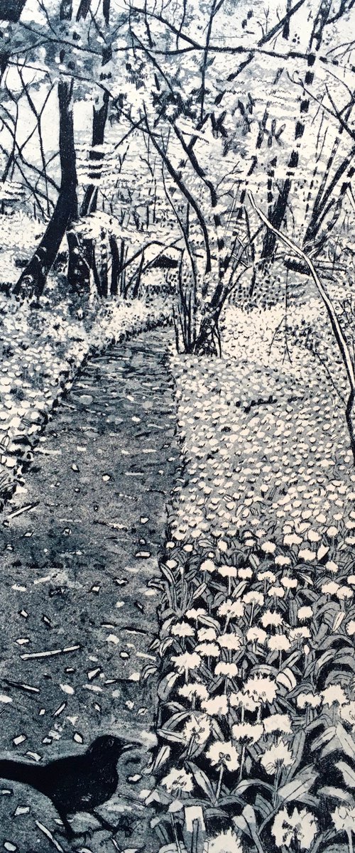 Spring walk by Janis Goodman