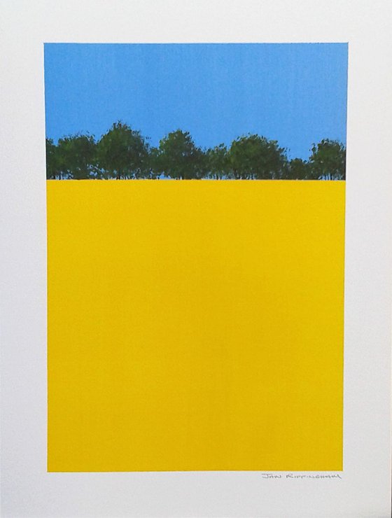 Rapeseed Fields, Hampshire II