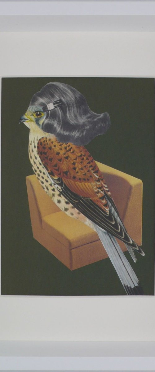 Homebird - Number #2 by Paper Draper