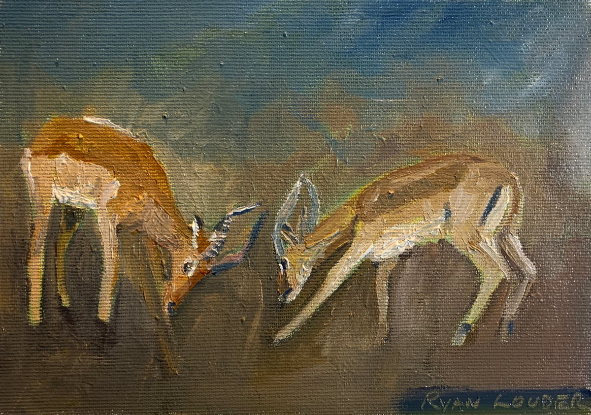 Impala Antelope Bucks Fighting - Small wildlife Painting 6x9 by Ryan Louder