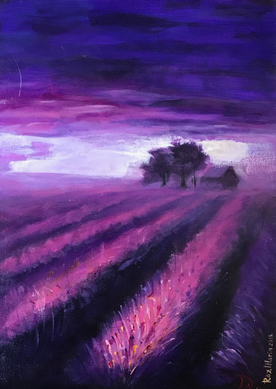 Lavender Sunset landscape