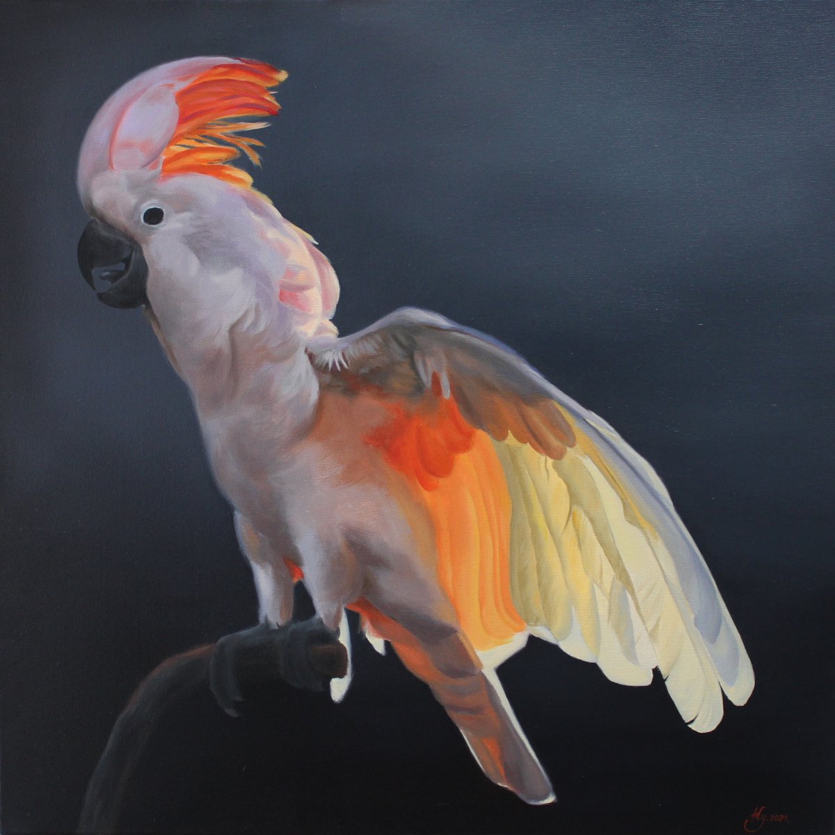 Parrot at sunset by Natalia Zhukova