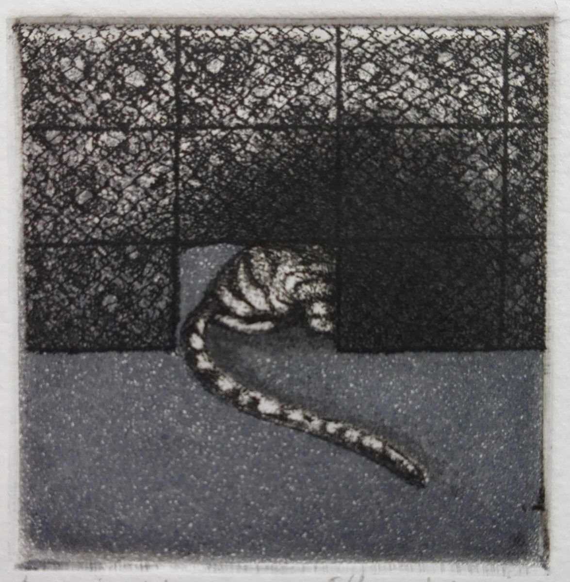 Animal Etchings & Engravings By Kristina Vatova, 6 X 6", "Don
