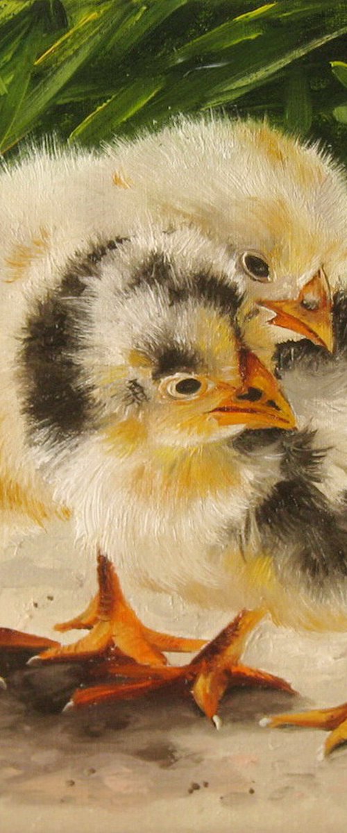 Baby Chicks in Grass by Natalia Shaykina