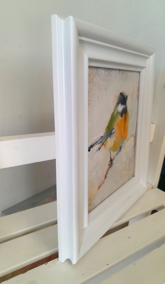 Titmouse