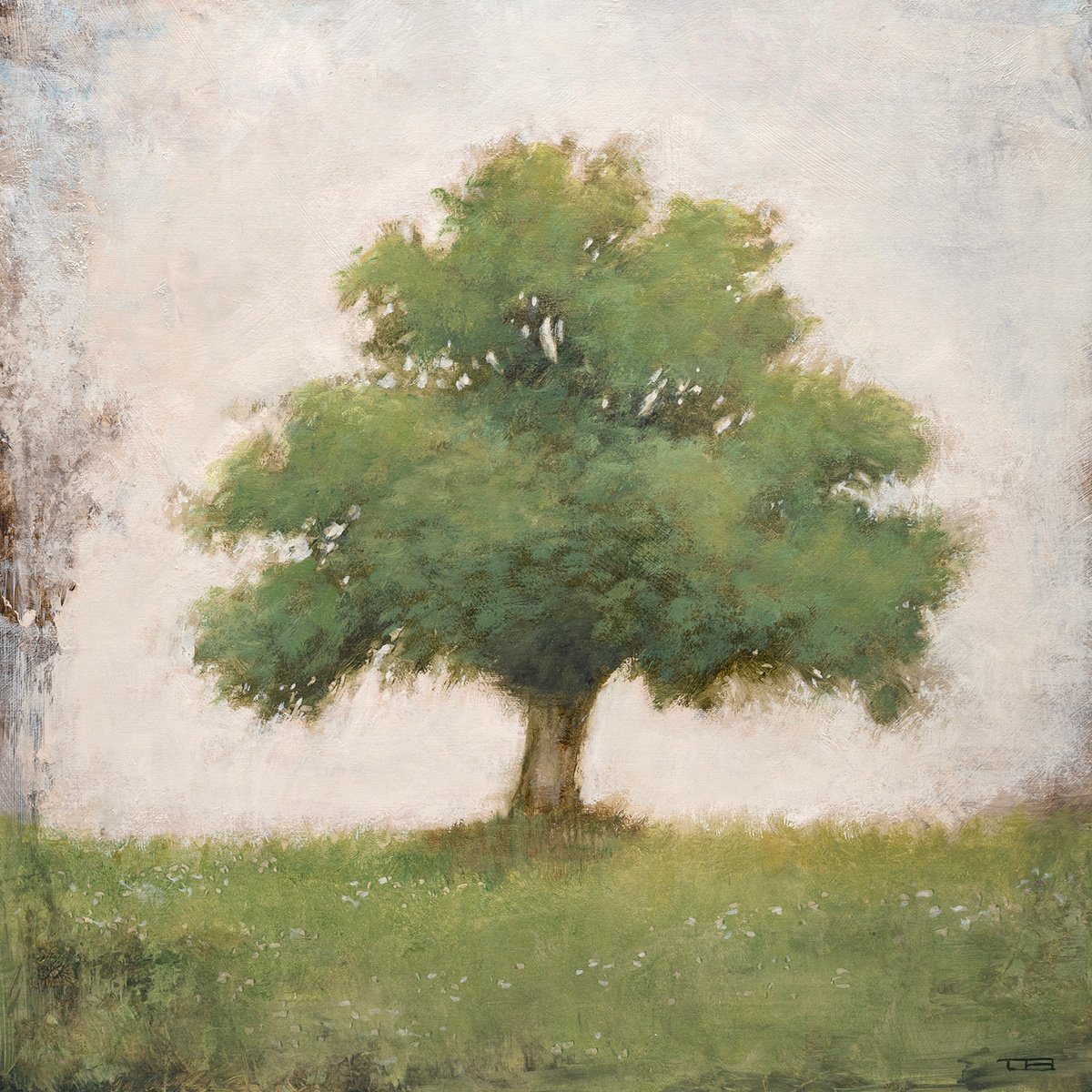 Zen Tree 28 260310 By Don Bishop, 12 X 12, Artwork For Sale On Artfinder