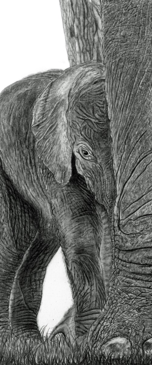 Amongst Giants (Elephant Calf) by Paul Stowe