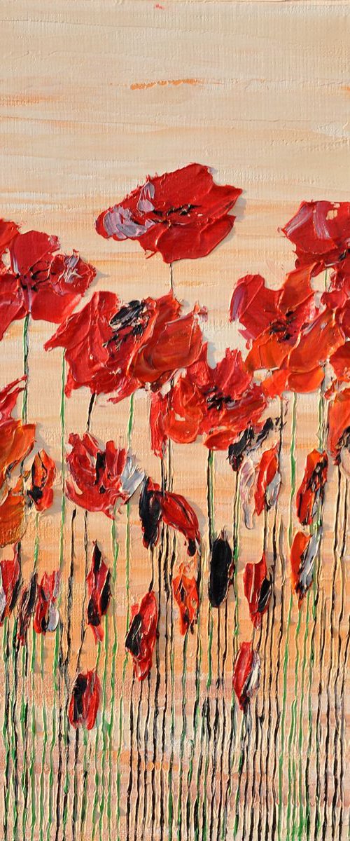 Wild Poppies 8 by Daniel Urbaník