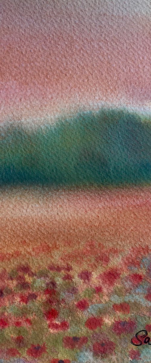 The beauty of poppies by Samantha Adams