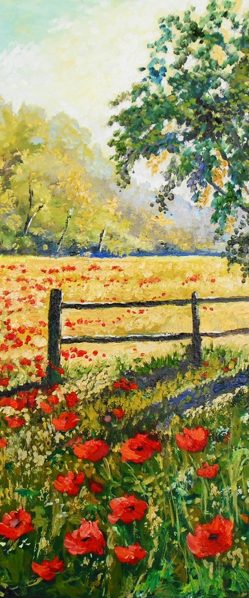 Poppies in the shade by Rod Bere