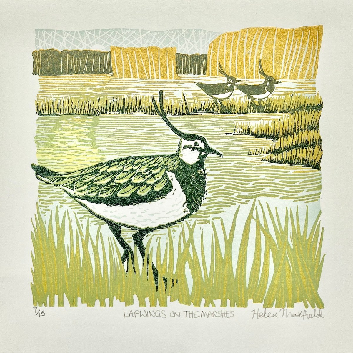 Lapwings on the Marshes by Helen Maxfield
