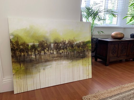Olive Tree Reflections