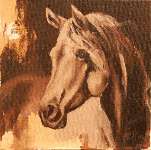 Equine Head Arab Chestnut (study 26) by Zil Hoque