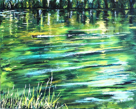 Twilight and Moorhen