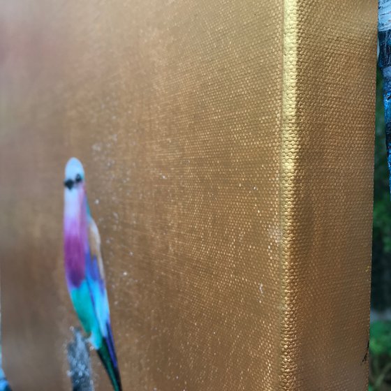 Lilac Breasted Roller