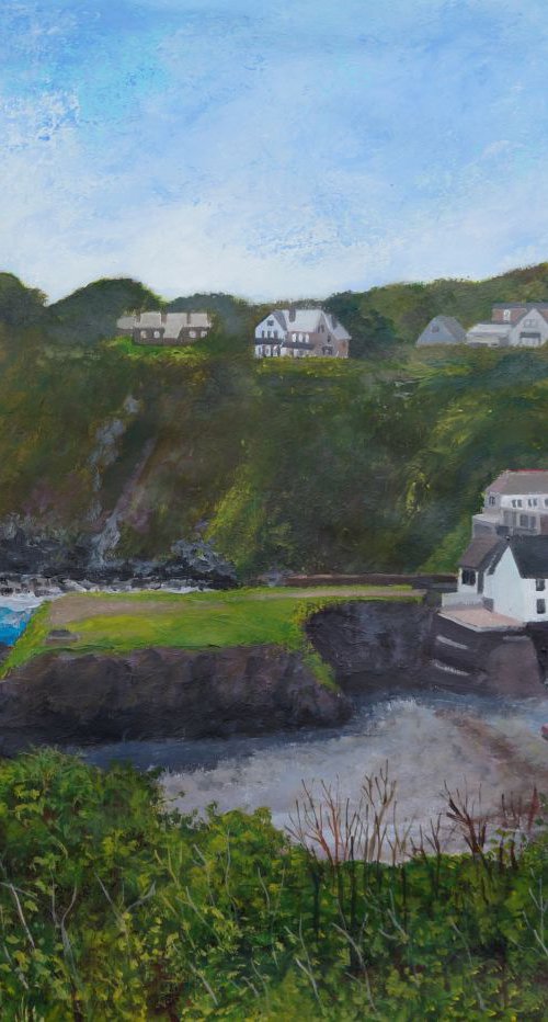Cadgwith Cove from the coast path by Tim Treagust