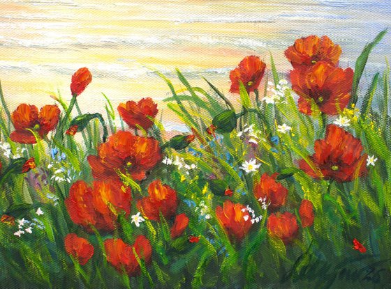 Poppies by the sae