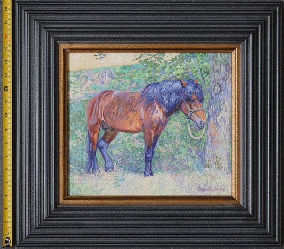 Horse in the shade of trees
