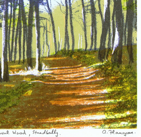 Oughaval Woods, Stradbally