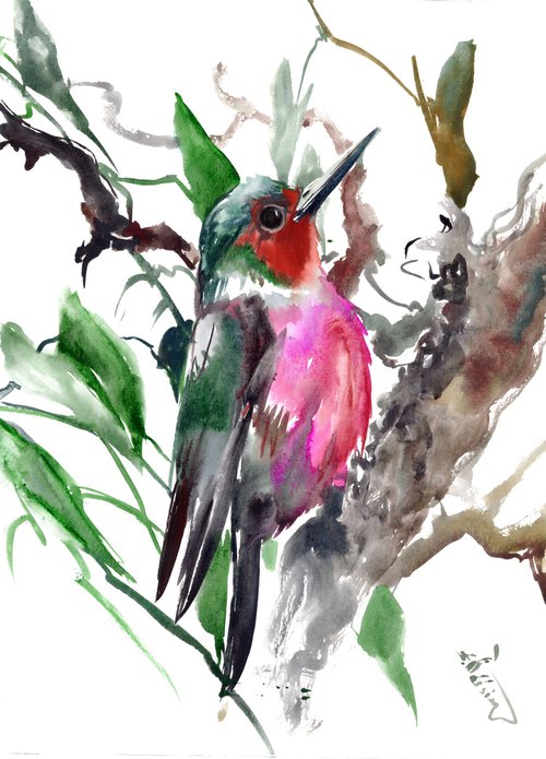 Lewis's Woodpecker by Suren Nersisyan