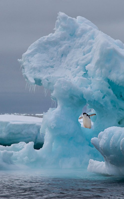 PLAYTIME by Harv Greenberg