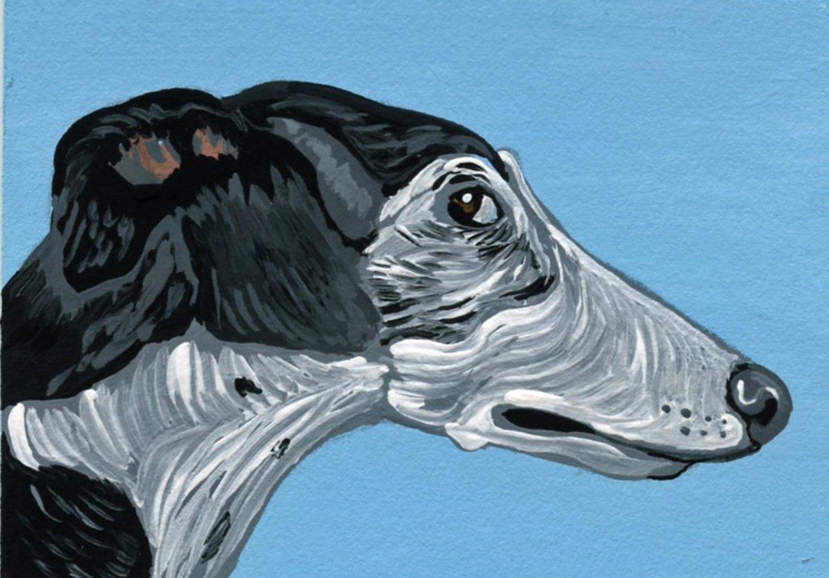 Greyhound Whippet by Carla Smale