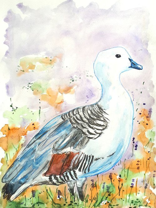 "Upland goose" by Marily Valkijainen