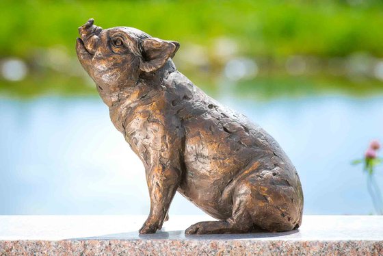 Sitting Piglet FB