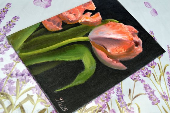 Coral tulips 4