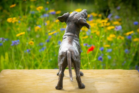 Standing Dachshund FB