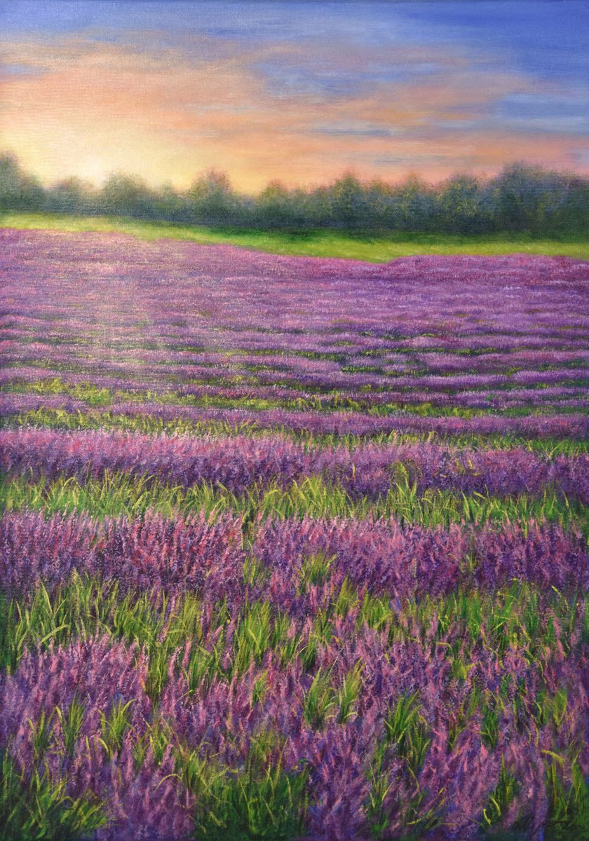 Sunrise on the lavender field by Ludmilla Ukrow