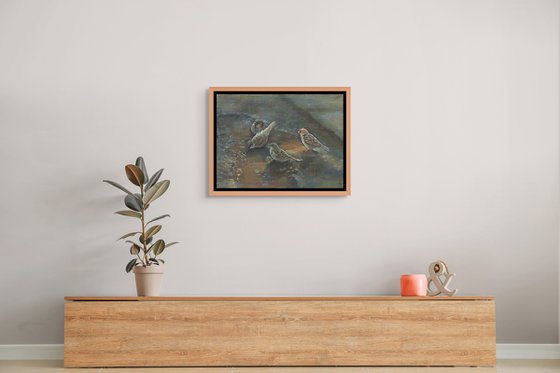 Sparrows Gathering