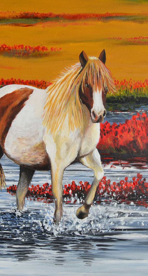 Chincoteague by Oscar Francescutto