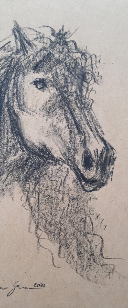 Horse 2 Sketch  /  ORIGINAL PAINTING by Salana Art Gallery