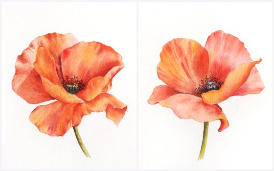 Red flowers, poppy painting, floral set of 2