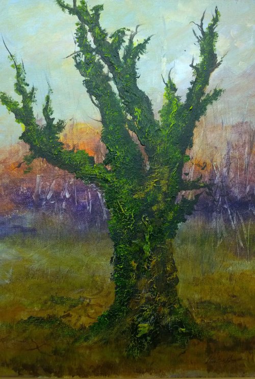 "OLD OAK AND IVY" by Colin Buckham
