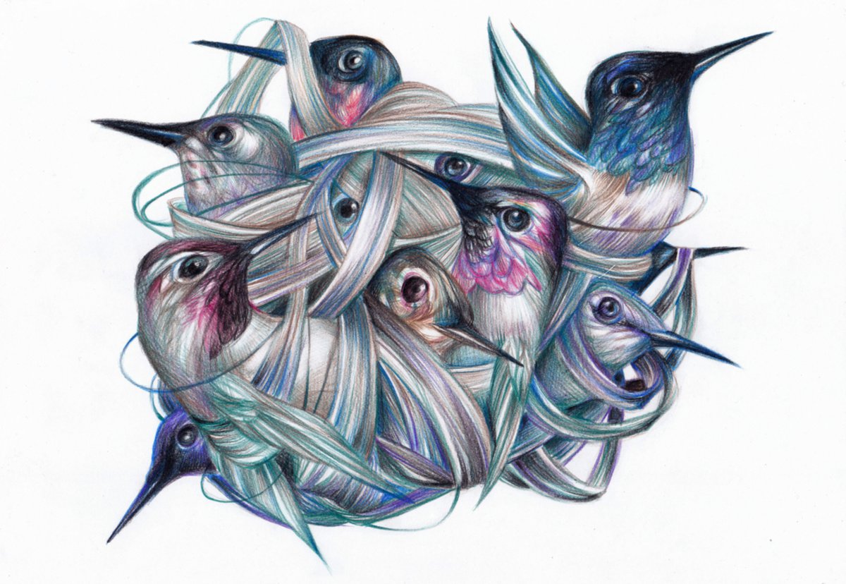 Animal Pencil Drawing By Anastasia Terskih, 12 X 8, Mayu (Cocoon), Original Artwork