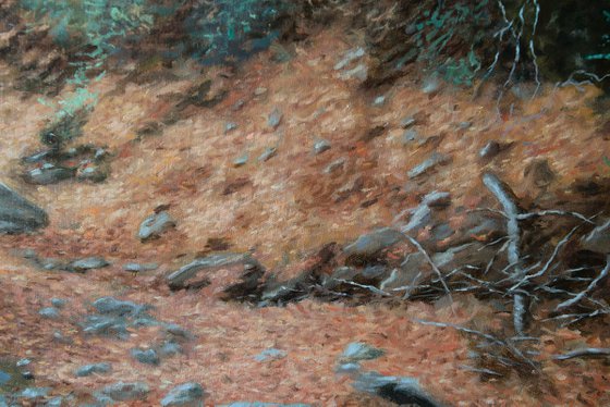 A Wooded River