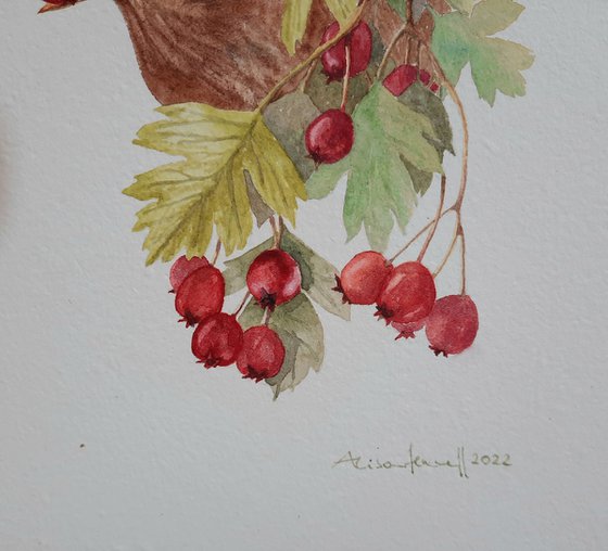 Tossleaf & Peckberry - Original Watercolour Painting