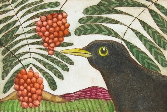Blackbird delight