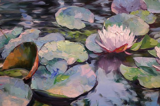 "Waterlily Melody"