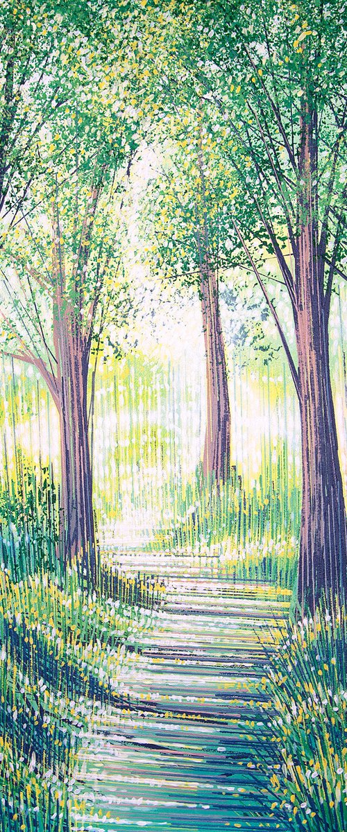 Summer Forest Path by Marc Todd