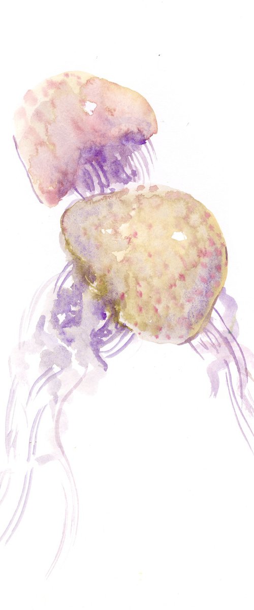 Jellyfish by Suren Nersisyan