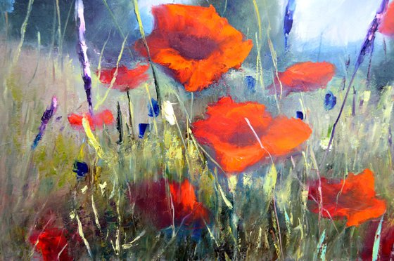 Poppy meadow