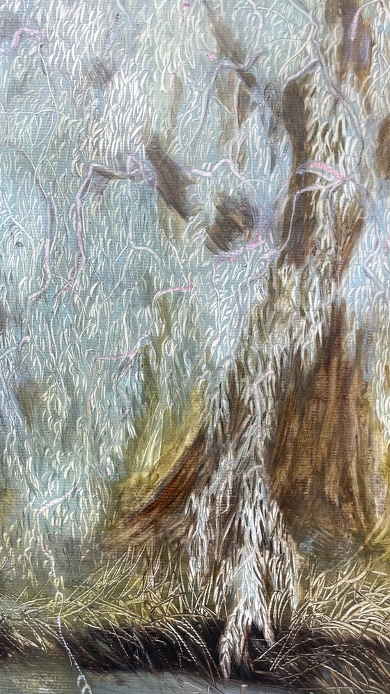 Old Willows by the River