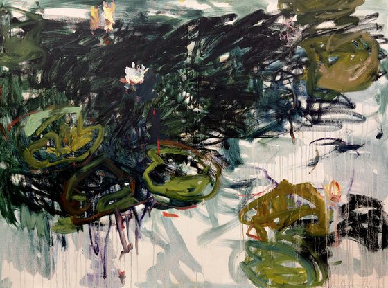 Lily pond