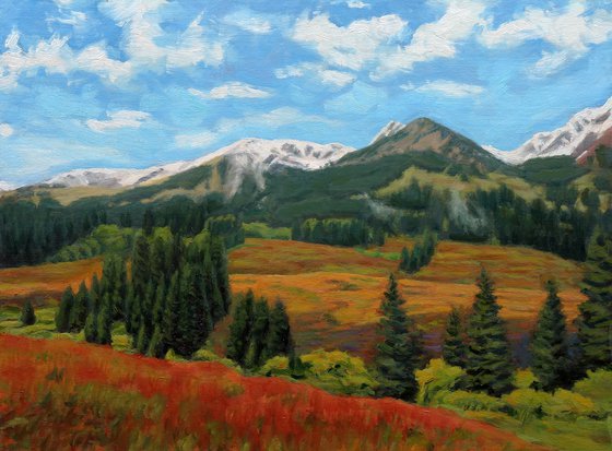 Colorado Landscape with Beautiful Flowers