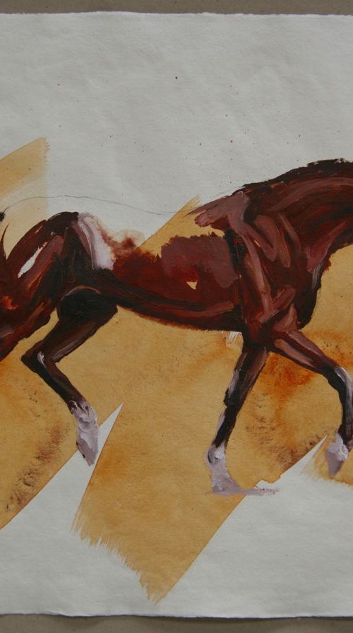 Arabian II (study) by Zil Hoque
