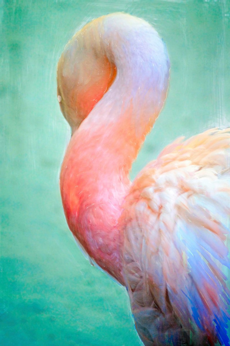 Napping Flamingo Digital Painting by Eugene Norris
