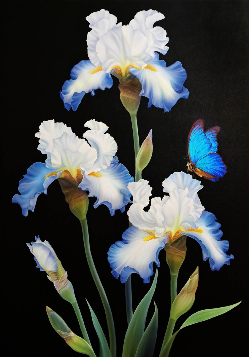 Blue elegance, irises with butterfly by Anna Steshenko